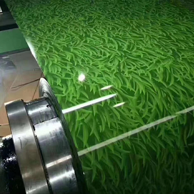 De kleur bedekte 0.6mm Ppgi Staalrollen met een laag 1250mm Zuivere Zinkdeklaag